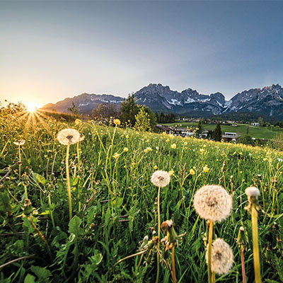 Frühling Panorama Wilder Kaiser © Foto Emanuel Adensam