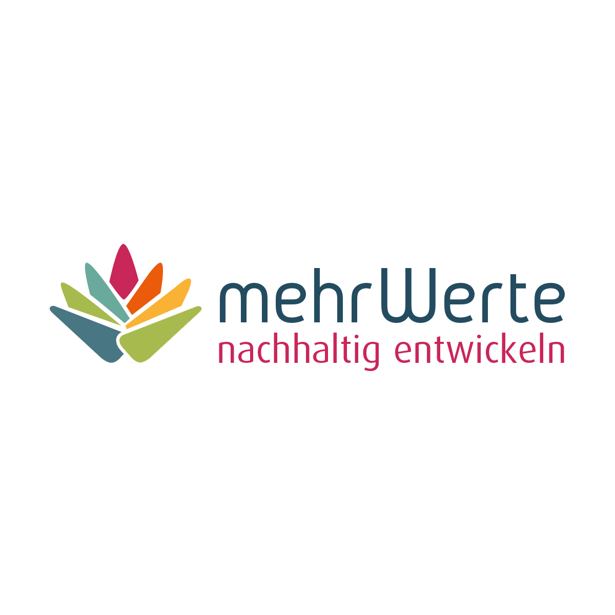 Logo © mehrWerte